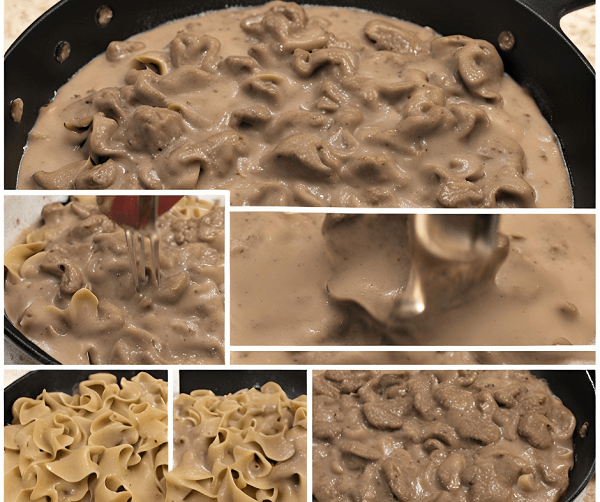 HOMEMADE BEEF STROGANOFF